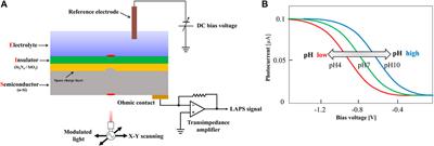 Light-Addressable Potentiometric Sensors in Microfluidics